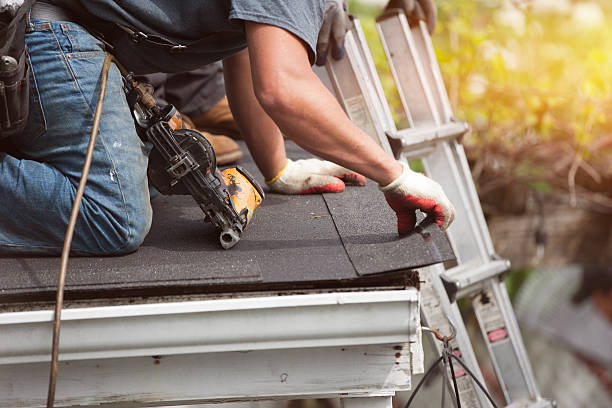 Best Roof Gutter Cleaning  in Thornton, CO