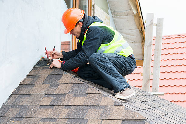 Roof Gutter Cleaning in Thornton, CO